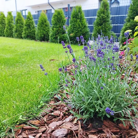 Z Ogrodem Camelia Appartement