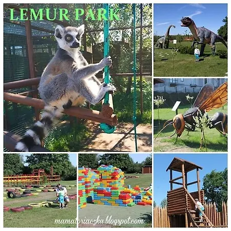 Appartement Z Ogrodem Camelia *