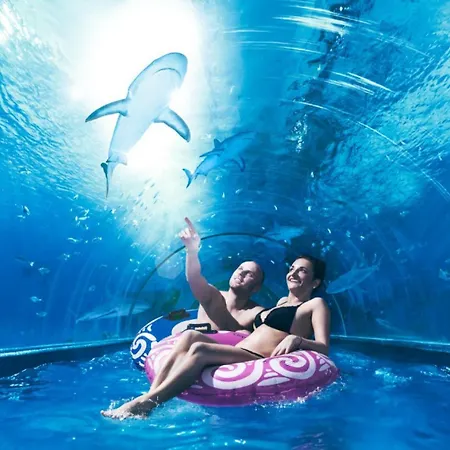 Z Ogrodem Camelia Rumia