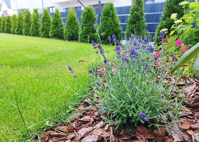 Z Ogrodem Camelia Lägenhet