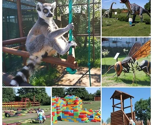 Lägenhet Z Ogrodem Camelia *