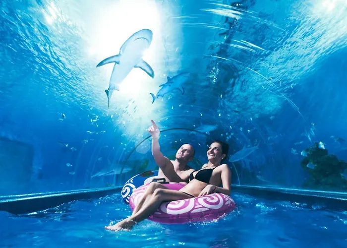 Z Ogrodem Camelia Rumia